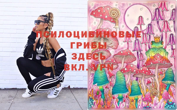 винт Балахна