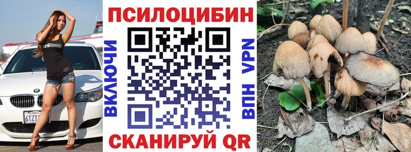 магазин продажи   Кунгур  Галлюциногенные грибы GOLDEN TEACHER 